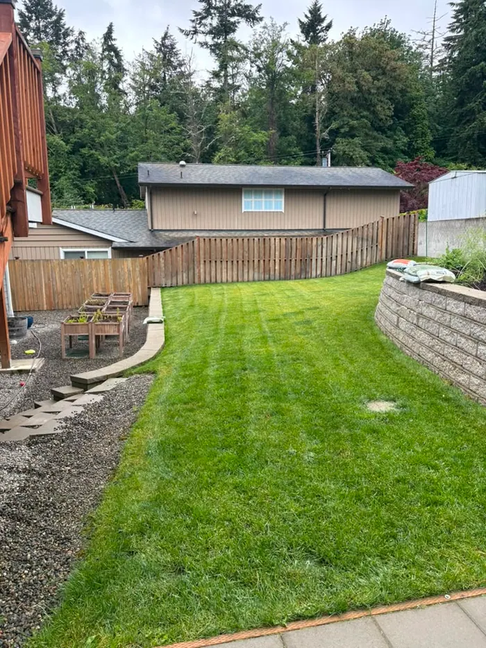 Before photo of backyard fence before staining