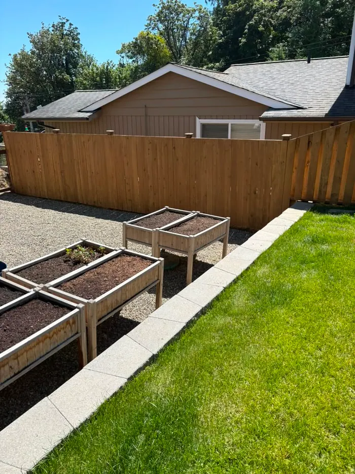 Finished stained garden fence beside raised beds and lawn